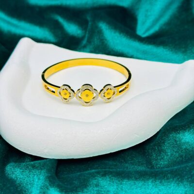 ACIER براسلي اسي